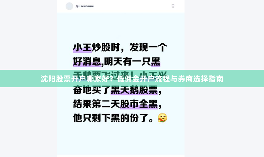 沈阳股票开户哪家好？低佣金开户流程与券商选择指南