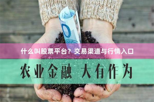 什么叫股票平台？交易渠道与行情入口